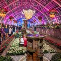 The Ultimate Guide to the Central Pennsylvania Home and Garden Show